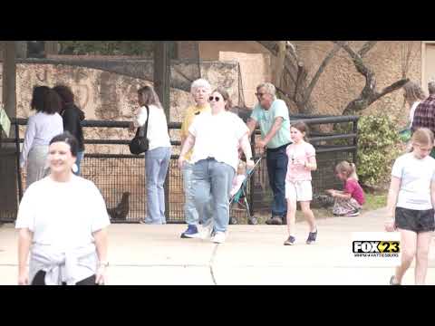 Spring break visitors enjoying the pine belt