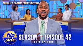 Whats Your Cats Favorite Thing To Destroy  Flip Side   Episode  Lol Throwbacks