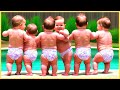 TRY NOT TO LAUGH Most Hilarious Baby Ever Recorded TRY NOT TO LAUGH Most Hilarious Baby Ever Recorded