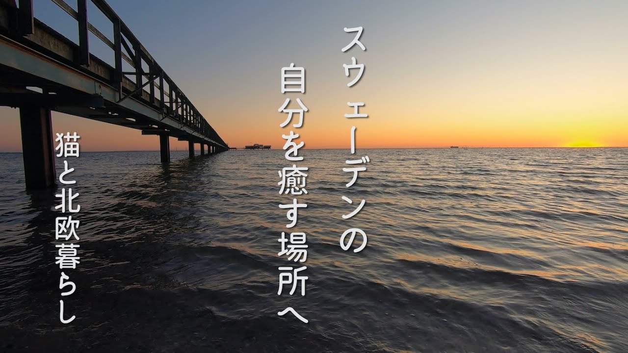 北欧暮らし スウェーデンの自分を癒す場所 スーパーマーケット 海外生活vlog Youtube
