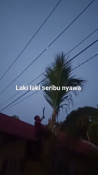 si tamvan dan pemberani‼️berani bertaruh nyawa apes dikit auto pindah alam‼️🤣#listrik #pln #shorts