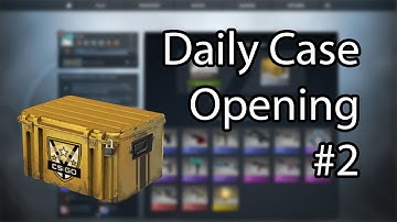 Daily Case Opening #2 | Huntsman Case