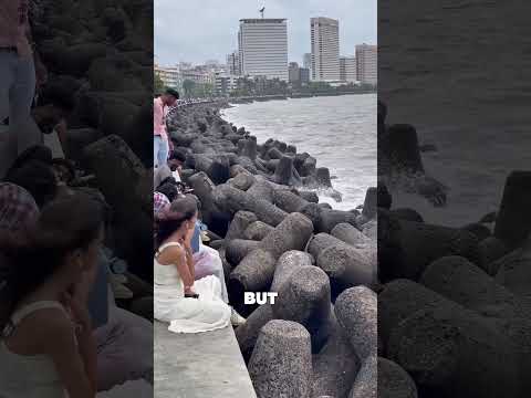 How Tetrapods Save Cities From Deadly Waves 