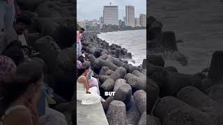 How Tetrapods Save Cities From Deadly Waves