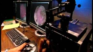Daily Planet Human Body 3 Web