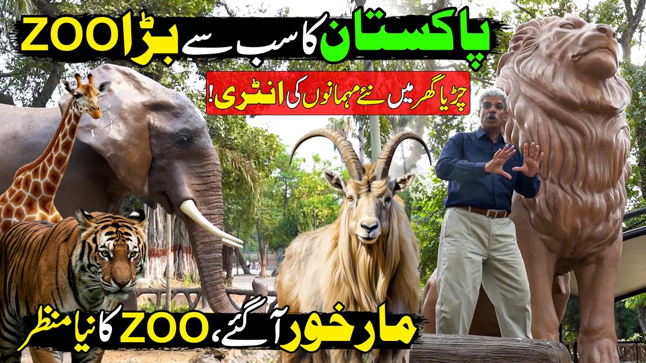 Lahore Zoo | New European Style Zoo In Pakistan | Lahore Zoo Reopened 2025 | Discover Pakistan