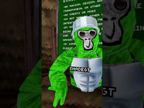 When People Confuse You With A Different Content Creator Goingcrazy Gorillatag Gorillatagquest