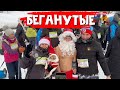 Все люди, как люди, а мы... Собака в шоке. Наше 1 января 2024 года 🎅🎄