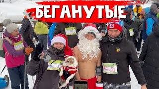 Все люди, как люди, а мы... Собака в шоке. Наше 1 января 2024 года 🎅🎄