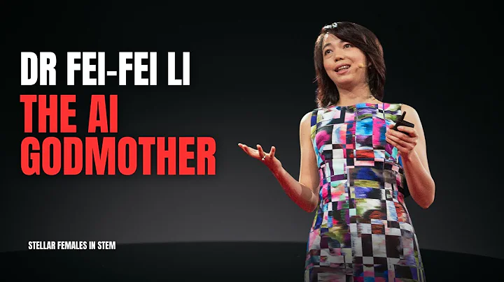 The Godmother of AI - The Untold Story of Dr  Fei Fei Li