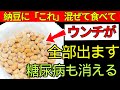 【医師解説】血糖値が下がらない本当の原因は腸だった｜納豆×最強食べ合わせ7選で糖尿病対策｜老後健康・健康雑学