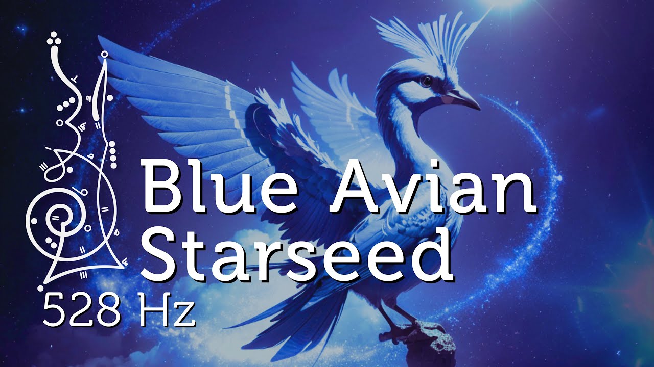Blue Avian Starseed 528 Hz Starseed Activation & Meditation for ...