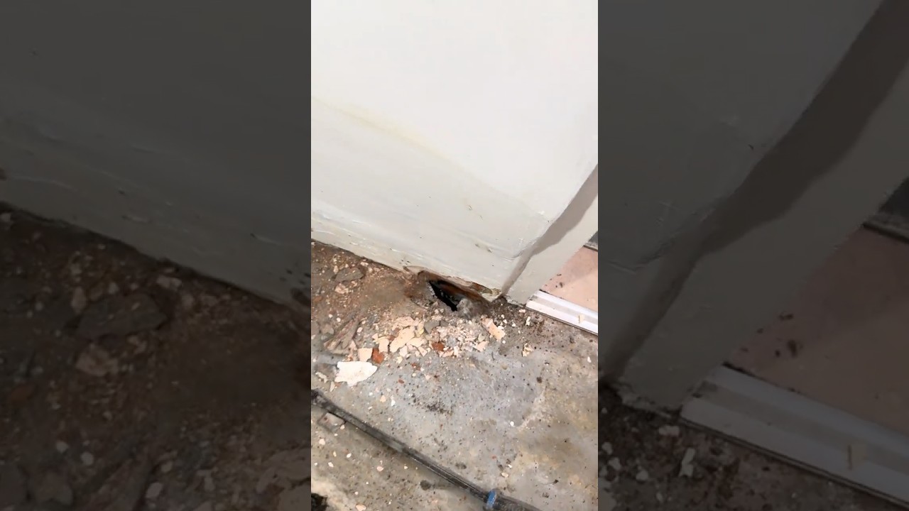 Гидроизоляционный слой с перекрытием и обширная влага, поднимающаяся вверх 