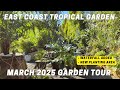 March 2025 Update | Tropical Garden UK | Waterfall | Musa Basjoo | Exotic Vibes #tropicalgarden #uk