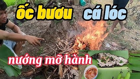 Mò dẹm, ốc bươu, cá lóc nướng mỡ hành tại đồng ngon bất ngờ#cônghímiềntây#ẩmthực