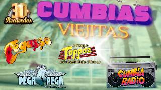 Grupo Pegasso, Toppaz &amp; El Pega Pega 🎶 Mix Cumbia Grupera Éxitos Inolvidables🔥