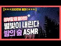 [집중력 높이는 소리] 밤의 숲 소리 효과음 백색소음 ASMR ★ 공신 강성태