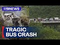 Multiple people killed after bus falls off cliff in South Africa | 9 News Australia