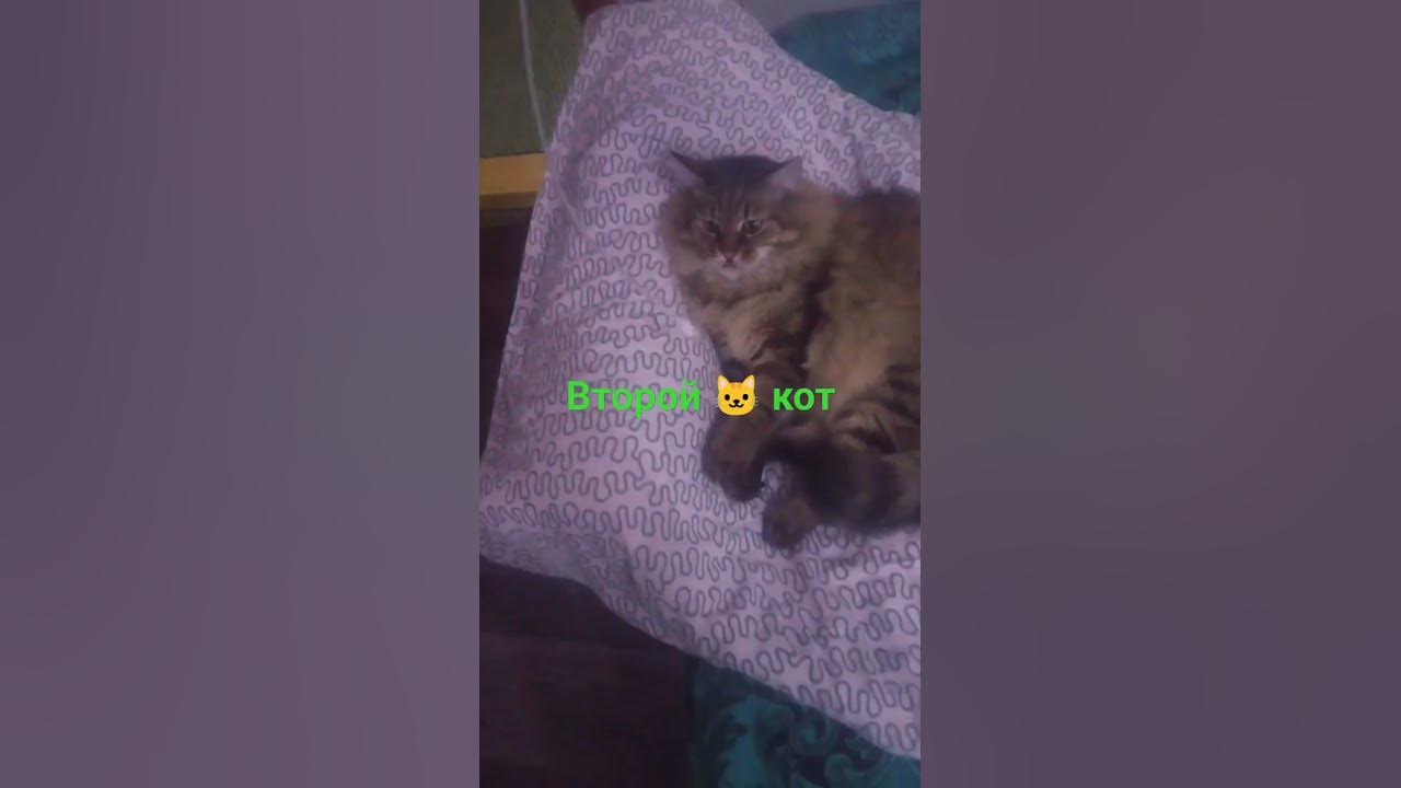 Марик комарик - YouTube