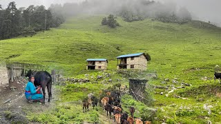 Hard life of Nepali Mountain Village People far from civilization || IamSuman