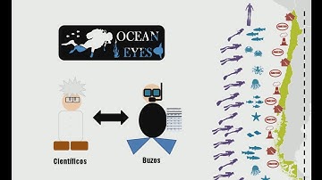 How to become a Citizen Scientist through Ocean Eyes on SciStarter