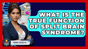 What Is The True Function Of Split Brain Syndrome? - Strange Science HQ