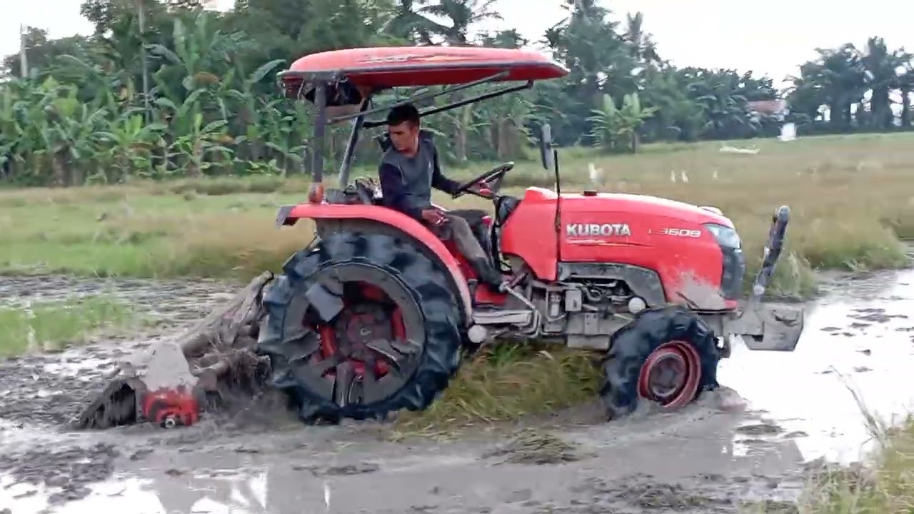Burung Bangau | Traktor Bajak Sawah | Meluku Sawah Dengan Alat Canggih