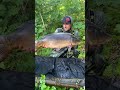 Karp z ostatniego wypadu na PZW #soniksports #karp #carpfishing #fishing #fish #friends #passion