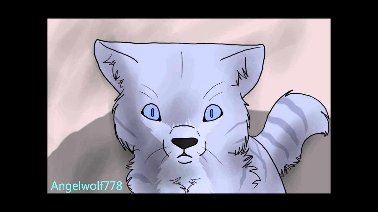 Some Nights Warriors MAP ~Parts 27-28~