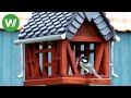 Luxus-Vogelhaus - ein Mini-Fachwerkhaus mit Schieferdeckung