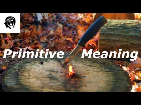 Primitive Meaning