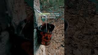 nikmati lah takdir mu #quotes #trending #badaiasmara #popymercuri