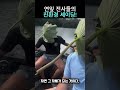 연잎 가면 쓰고 시속 60km로 달리면 생기는 일 ㅋㅋㅋㅋ #shorts