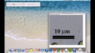 Tutorial ImageJ Tutorial ImageJ