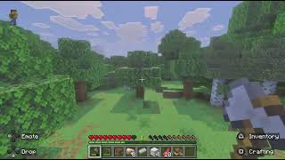 My forever world Minecraft