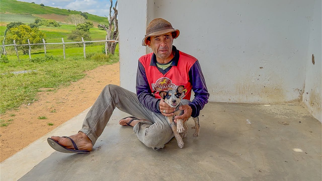 VAQUEIRO REVELA NOVO INQUILINO DA FAZENDA: O CACHORRO PULGUINHA 😁| DANILO PIMENTA 