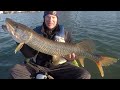 Hobie Kayak Trolling for Tiger Musky Lake St. Clair