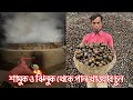 শামুক ও ঝিনুক থেকে পান খাওয়ার চুন তৈরী করা দেখুন।