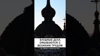 ОЧИЩАЙТЕСЬ ОТ БЛУДА ❗️ Святитель Иоанн Златоуст #блуд #блудник #блудница #православие