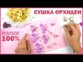 ЮВЕЛИРНАЯ СМОЛА! Как сушить орхидею? 💗 ГЕРБАРИЙ