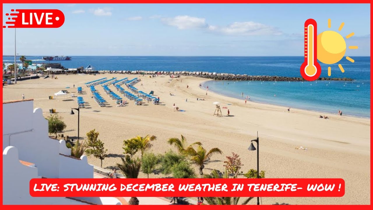 🔴LIVE: OMG 🤩 it is STUNNING in Tenerife right now! Los Cristianos Beach walk to Las Americas 🙌🏼
