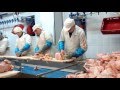 Польша Свидница MEAT-PAC Gor-Pol розбір курки на тасьмі