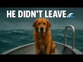 The Storm Was Terrifying… But This Dog Didn’t Run 🐶💪