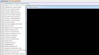 How To Make A Minecraft Vanilla Server | Minecraft Server Tutorial