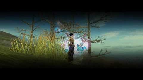 HardFighterD sjSRO intro