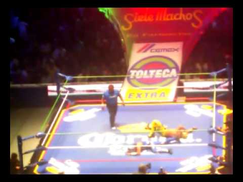 puma king vs rey cometa