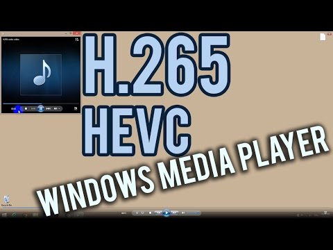 H 265 player