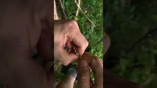 IMG 3832