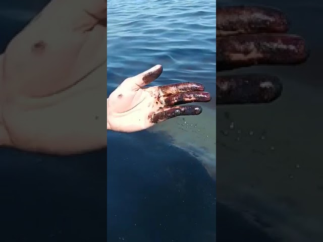 Loading video