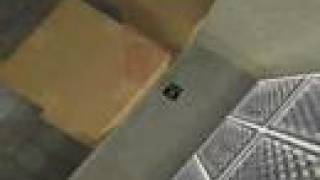 CZDS - WITH - bugs,easter eggs,secrets (PART1)